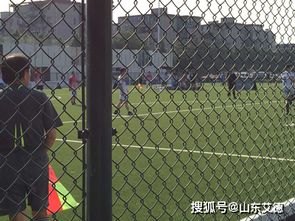 学校体育场围网安装及重要性