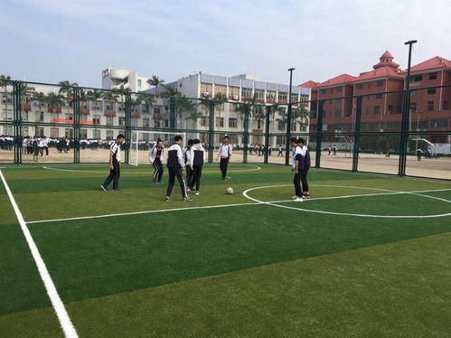 【贵州足球场围网安装标准】- 