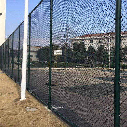 【宿迁焊接式体育场防护网a圆管柱运动场隔离网a迅鹰铁丝网勾花护栏网生产厂】- 