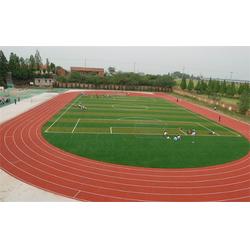 人造草坪足球场 腾夏装饰产品 金坛人造草