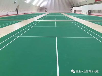 羽毛球民间高手齐聚奥林匹克森林公园气膜馆