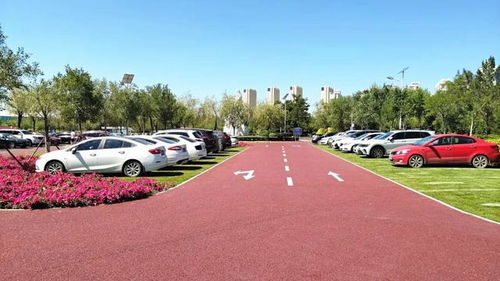 呼和浩特首个 真草坪上的停车场 对市民免费开放,看看是哪里