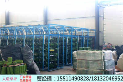 aa新闻 鹿寨县足球场塑胶草坪多少钱 施工工艺工厂直销
