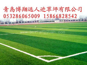 足球场人造草坪铺装施工方法 足球场人造草坪价格 足球场人造草坪厂家
