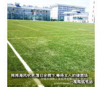 人造草足球场地优质商家置顶推荐产品
