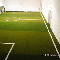 足球场装修效果图 设计本