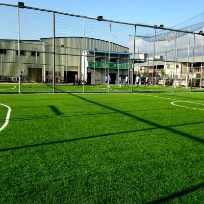 安徽池州人造草皮 学校足球场专用人工草坪铺装 50mm人造草 人造草坪安装