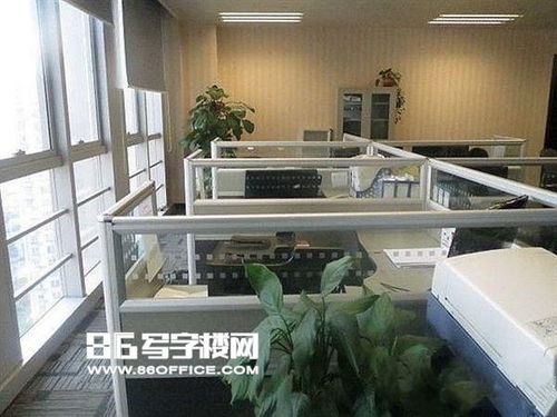 上海凤凰科技园出租 duang 好房来袭 凤凰园 漕河泾精装150平 房型正仅此一套 86写字楼网