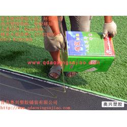济宁人造草坪足球场 奥兴塑胶铺装 人造草坪足球场厂家