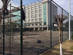 操场护栏网厂家保障品质