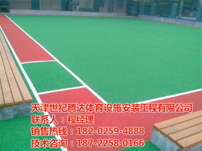 人造草坪施工 世纪腾达 在线咨询 人造草坪
