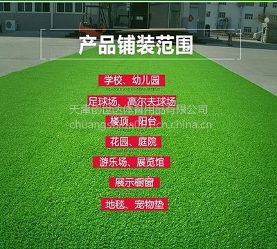 【草坪销售,山东草坪