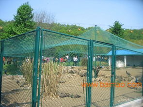 十堰山城公共区围网,勾花网护栏价格,公共场菱形围栏,十堰山城公共区围网,勾花网护栏价格,公共场菱形围栏生产厂家,十堰山城公共区围网,勾花网护栏价格,公共场菱形围栏价格