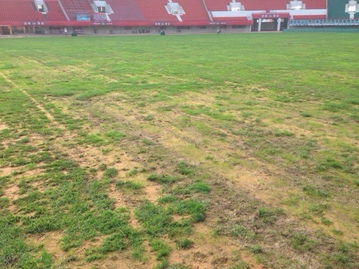 足协监督建业主场整改,工作组实地验收体育场地铺装成果