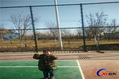 盐边昌熙公司 动物园护栏与体育场地铺装的专业供应商